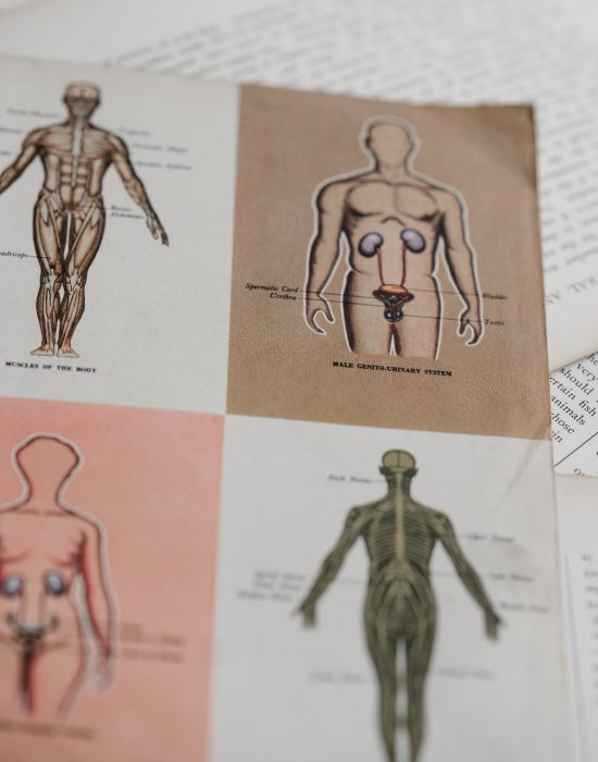 r4v-facts-550px-side effects